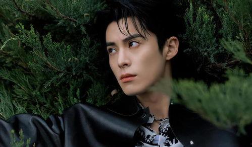 最新爆料王鹤棣,神秘女友身份引网友热议