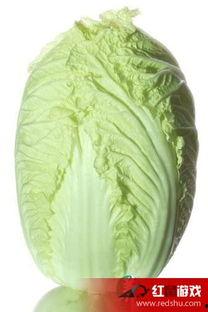 娱乐大爆料大白菜,大白菜成焦点，揭秘明星幕后故事