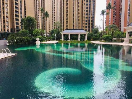 麻城新闻爆料热线最新,聚焦民生热点，传递社会声音