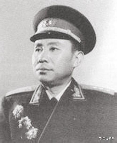 刘震最新爆料新闻,揭秘娱乐圈惊人内幕