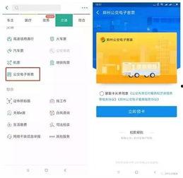 每日爆料郑州最新消息,揭秘今日热点事件与动态概览