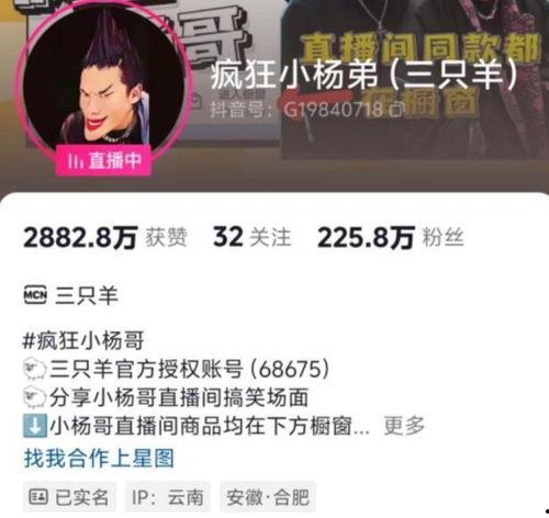 王霖徒弟爆料视频播放大全,揭秘幕后的精彩瞬间