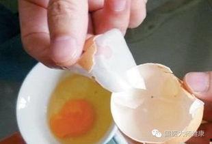 鸡蛋壳最新爆料,揭秘行业背后惊人真相