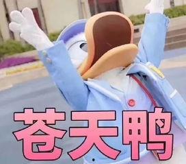 鸭总闺蜜爆料的视频,揭秘背后惊人真相