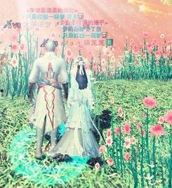 秋风爆料视频大全,视频大全揭秘娱乐圈幕后真相